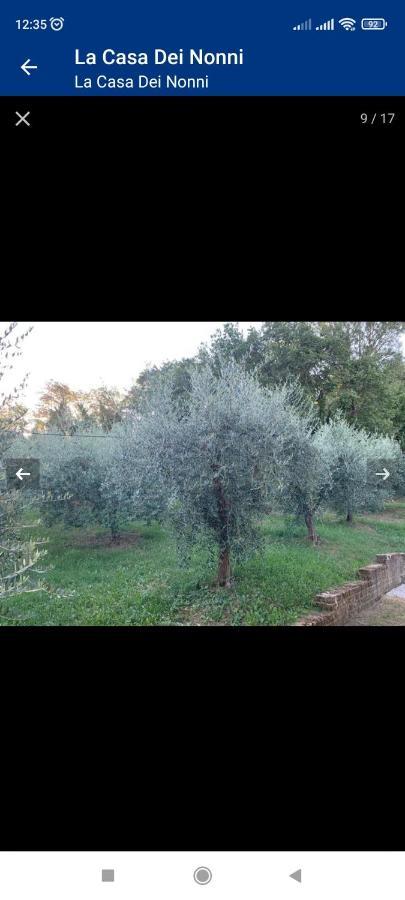 La Casa Dei Nonni Appartement Montepulciano Stazione Buitenkant foto