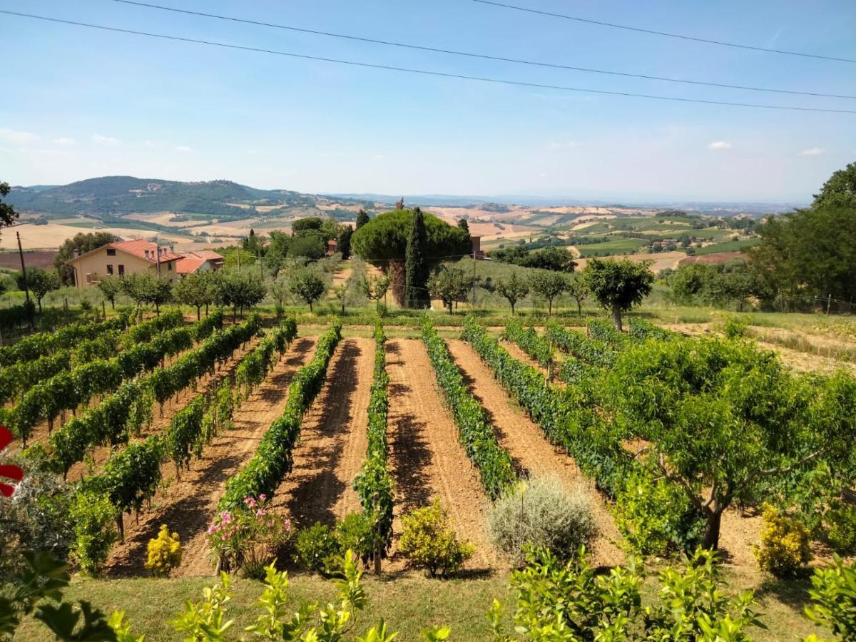La Casa Dei Nonni Appartement Montepulciano Stazione Buitenkant foto